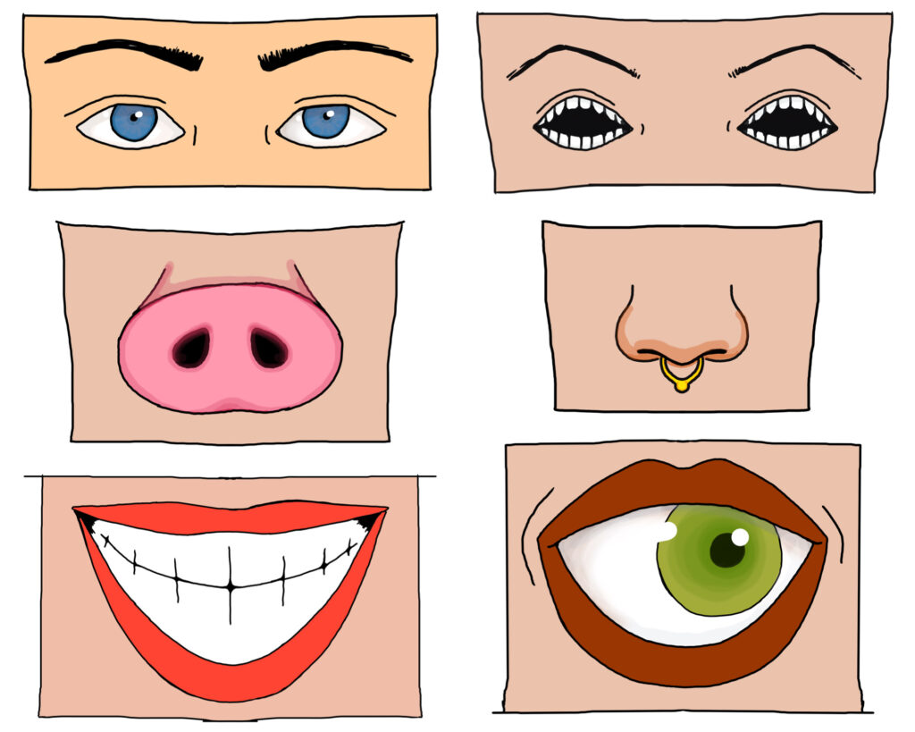 A set of six facial features. Left side has a normal set of blue eyes, a pig nose, and an eerily wide smile. Right side has eyes with teeth, a normal nose with a nose ring, and a mouth with an eye inside. 