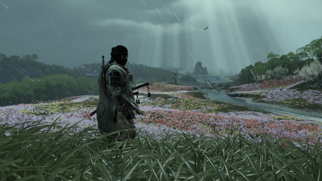 Screenshot from Ghost of Tsushima, showing a samurai stands in a rolling fields of blooming flowers looking at the horizon, while beams of light fall through the clouds.
